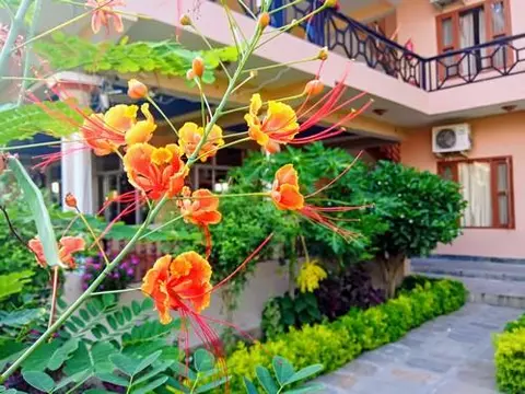 नेपालमा सुन्दर फूलहरू / Beautiful flowers in Nepal