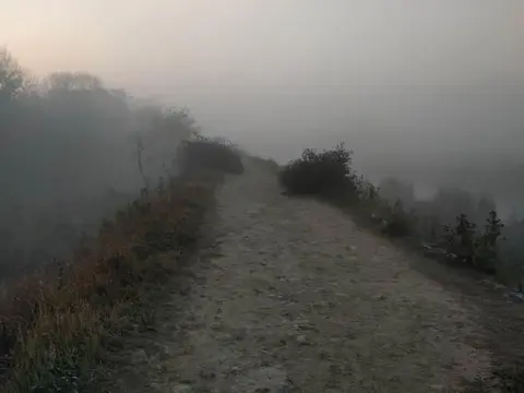 चटिवन राष्ट्रिय पार्कमा कुहिरो लागेको बिहान / Misty morning in Chitwan National Park