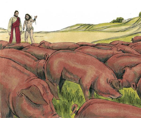 The evil spirits asking Jesus to enter the pigs The evil spirits asking Jesus to enter the pigs